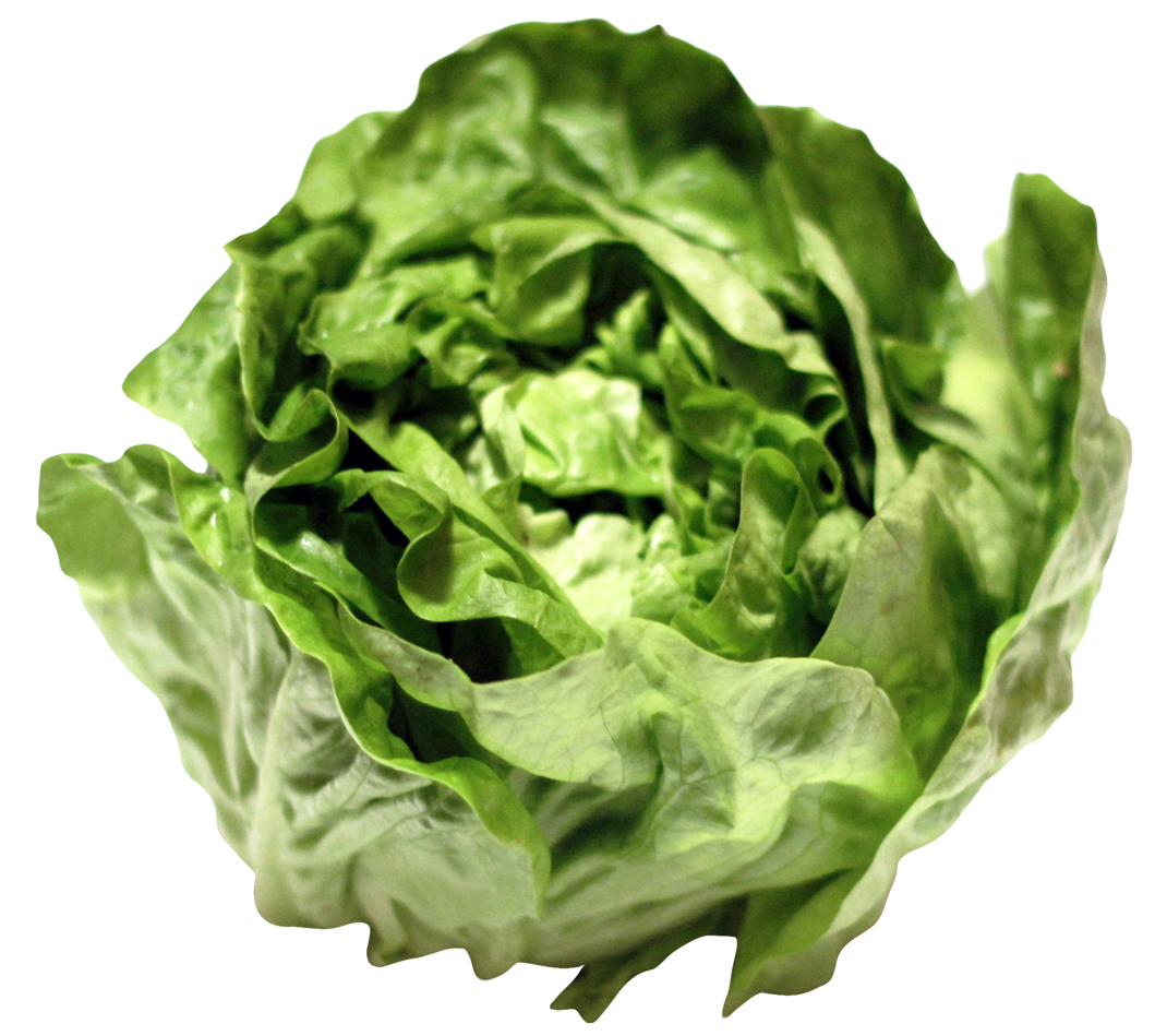 Png image transparent best. Lettuce clipart cabbage