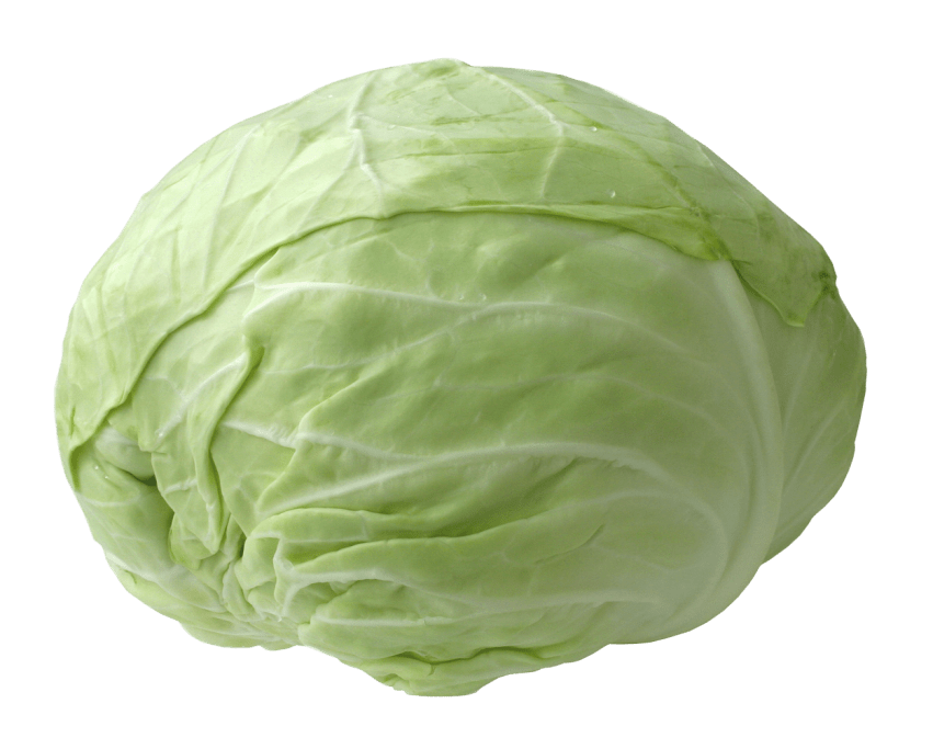 Lettuce clipart cabbage. Fresh png free images