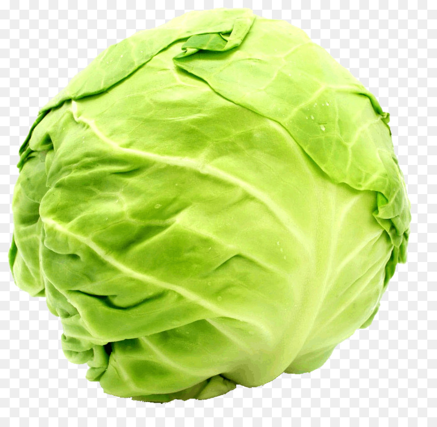 lettuce clipart cabbage roll