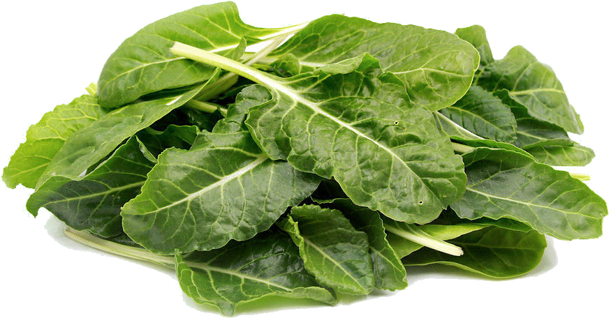 Lettuce clipart collard greens. Epic baby we are