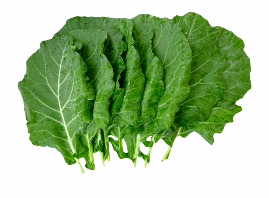 Png free . Lettuce clipart collard greens