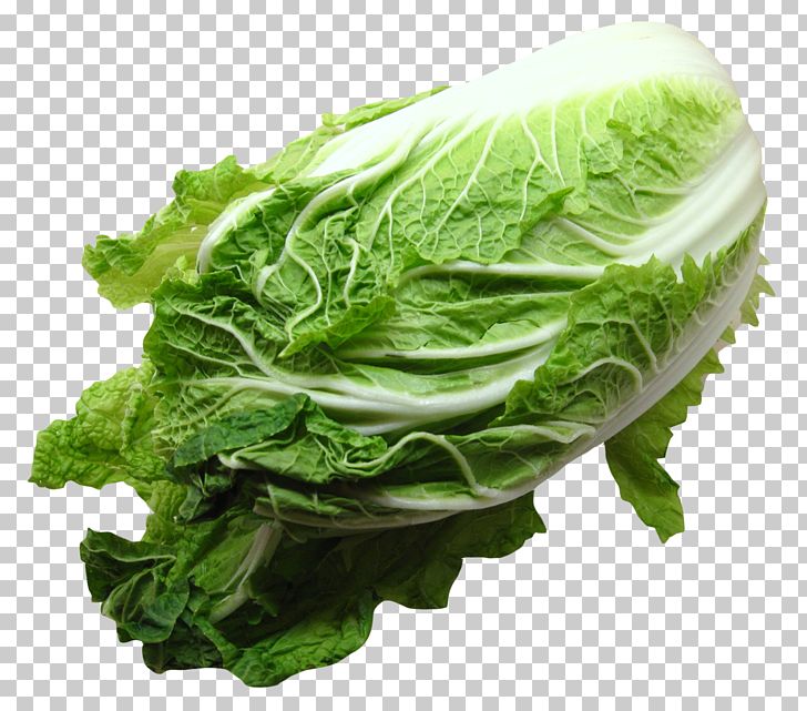 Romaine vegetarian cuisine cabbage. Lettuce clipart collard greens