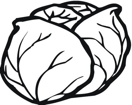 Drawing free download best. Lettuce clipart drawn