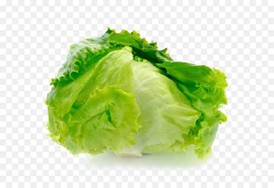lettuce clipart iceberg lettuce