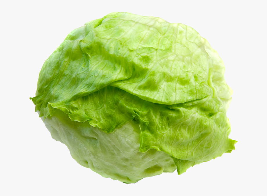 lettuce clipart iceberg lettuce