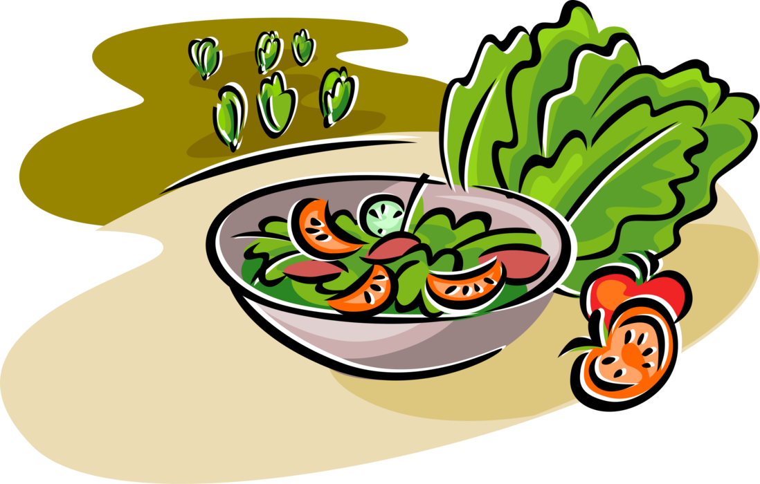 Salad with romaine and. Lettuce clipart illustration