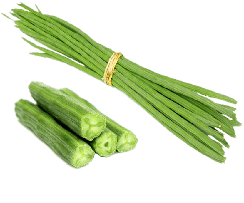 Lettuce clipart kangkong. Drumstick beans transparent png