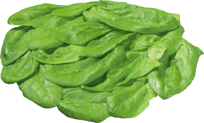 Salad png free images. Lettuce clipart leafy vegetable