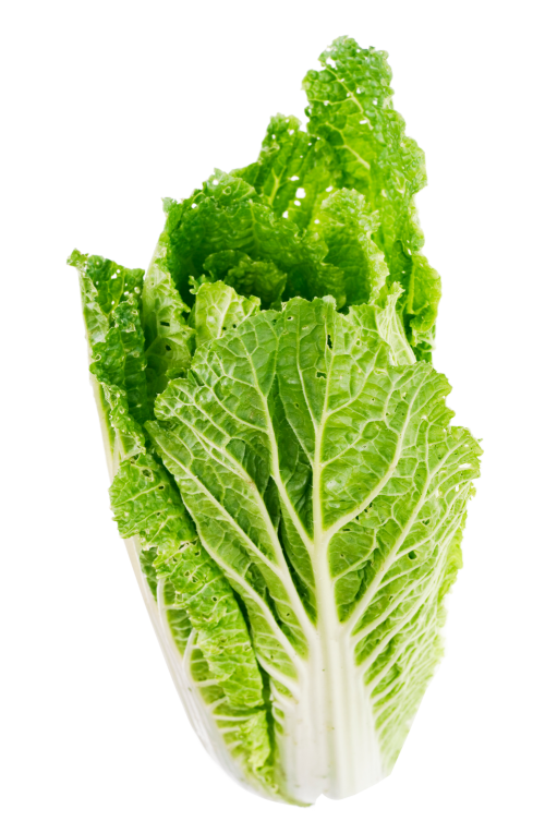 Lettuce clipart leafy vegetable. Leaf png image pngpix