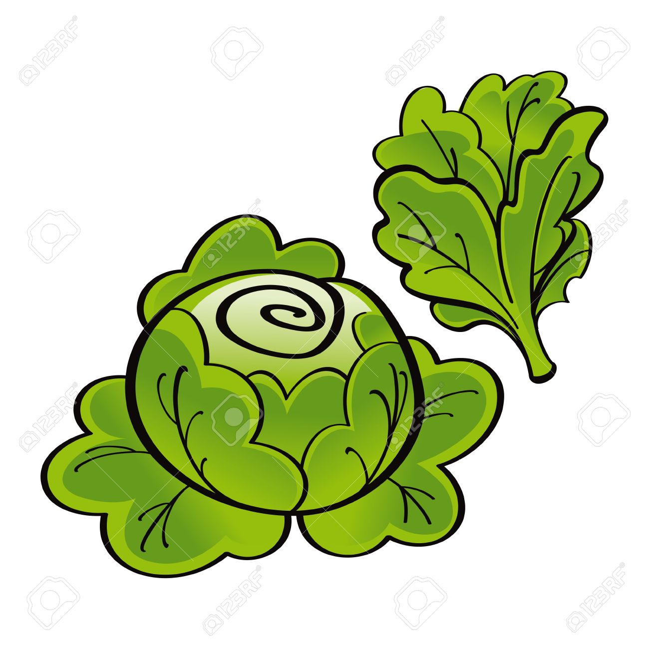 Lettuce clipart lechuga. Free download best on