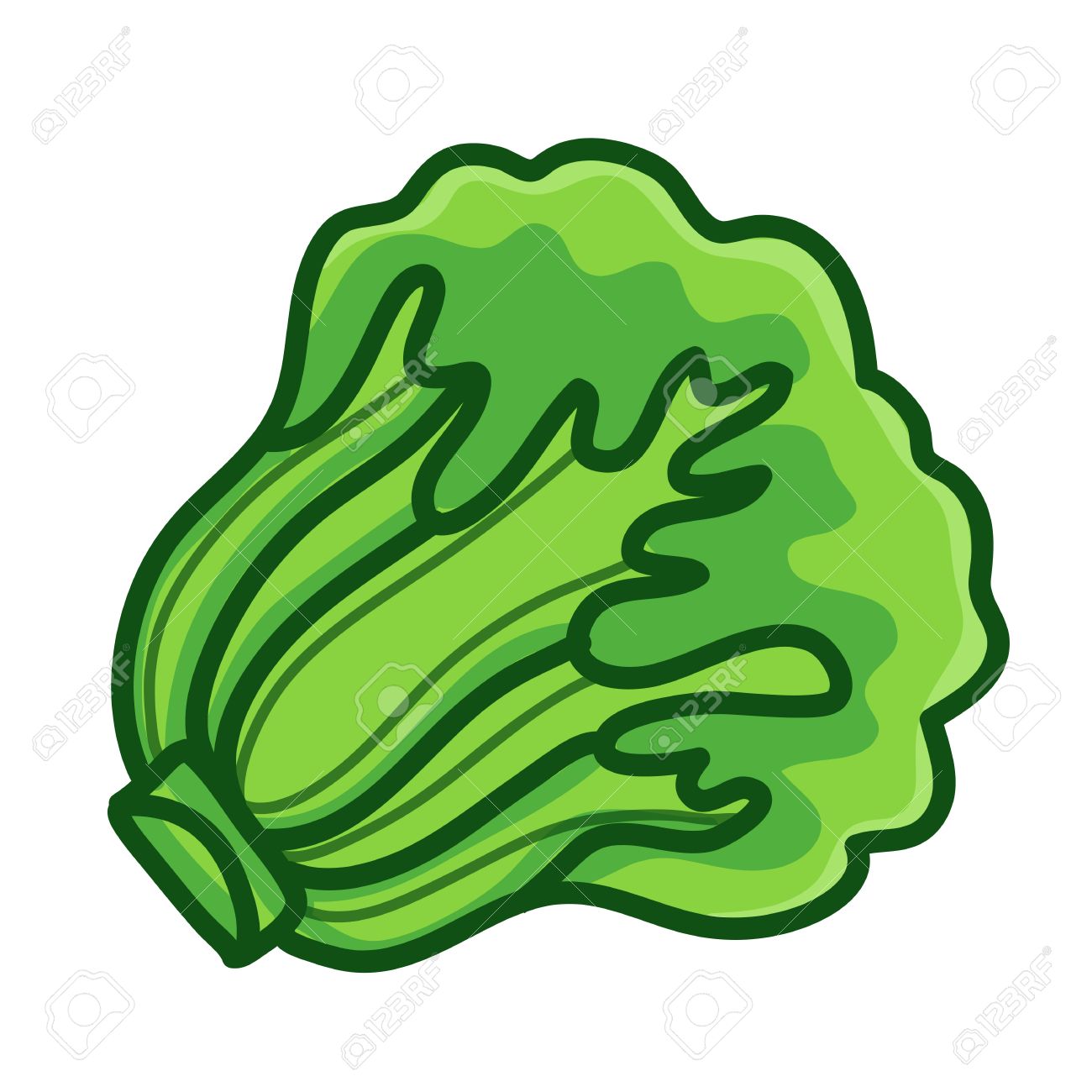 X free clip art. Lettuce clipart lechuga