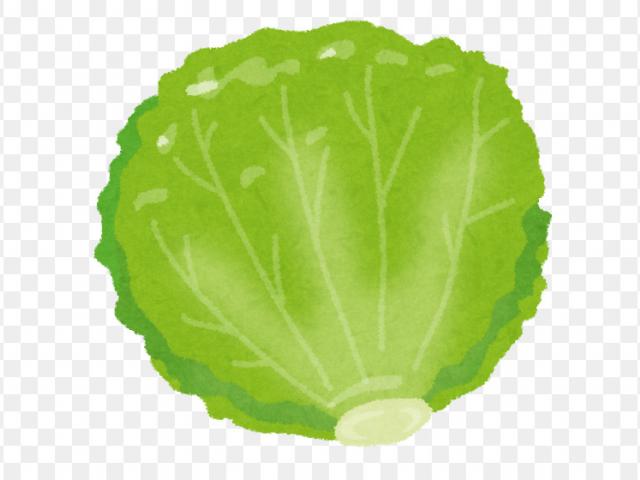 Free download clip art. Lettuce clipart lettuce garden