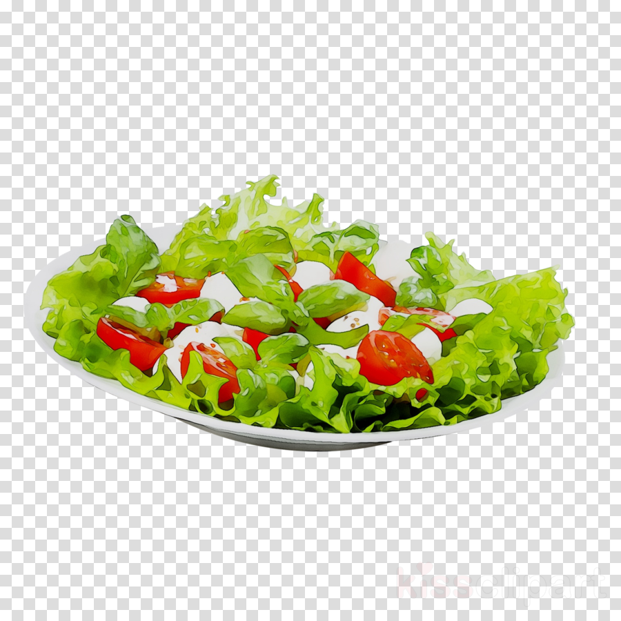 lettuce clipart lettuce tomato