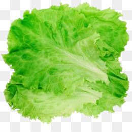 Lettuce clipart piece lettuce. Red leaf png and