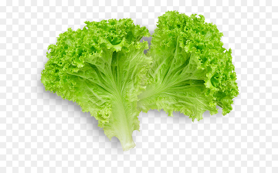 Picture #2911717 - lettuce clipart roma. 