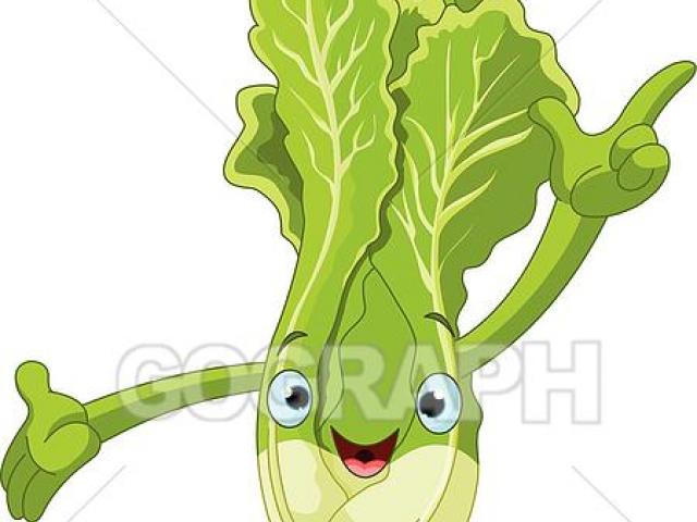 lettuce clipart sawi