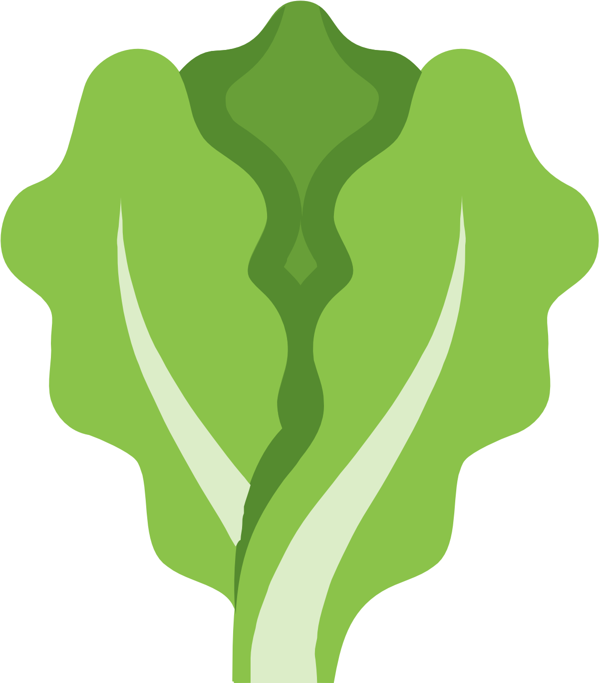 Hd outline icon png. Lettuce clipart simple
