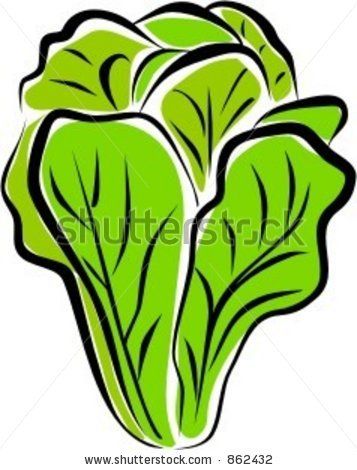 lettuce clipart stock photo