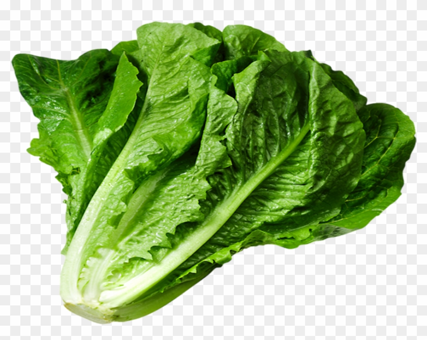 Lettuce clipart transparent background. Png x 