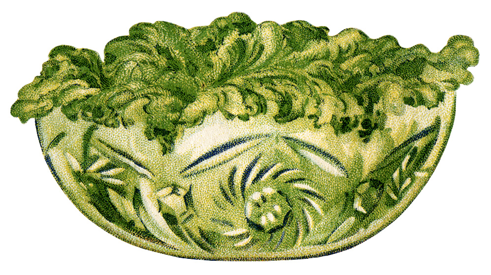 lettuce clipart vintage