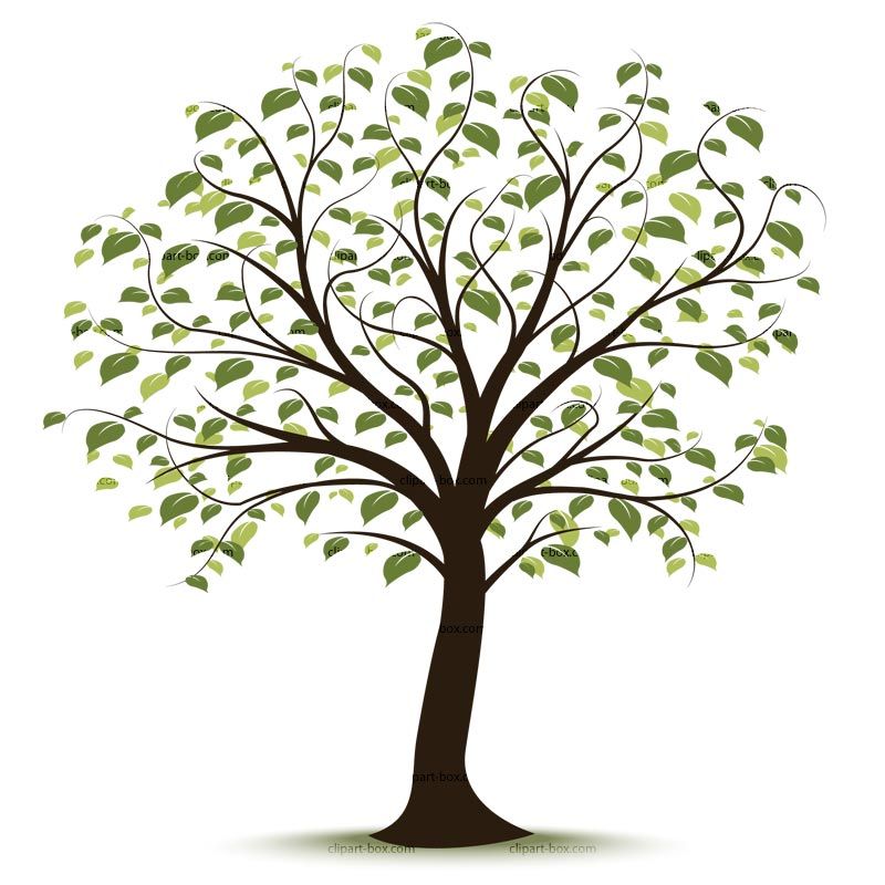 Family history event ideas. Branch clipart clip art tree