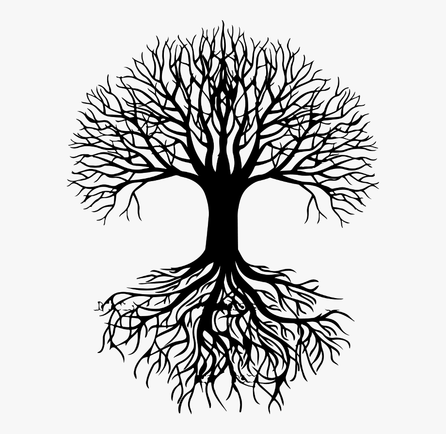 roots clipart curly tree