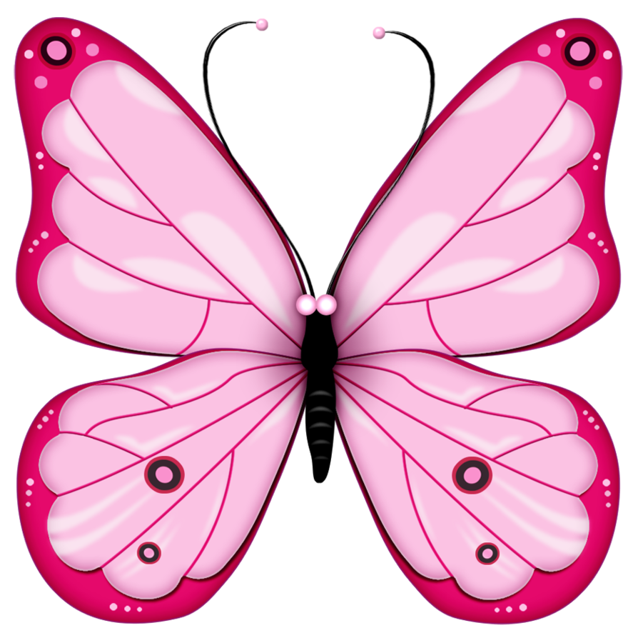 life clipart butterfly