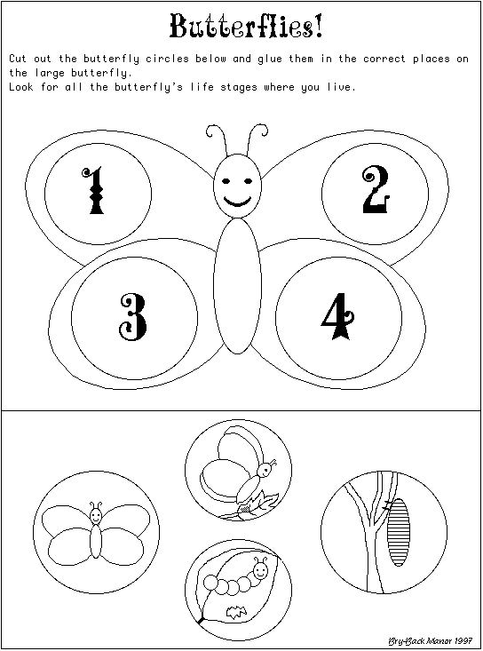 Butterfly worksheet for preschool. Life clipart family life cycle