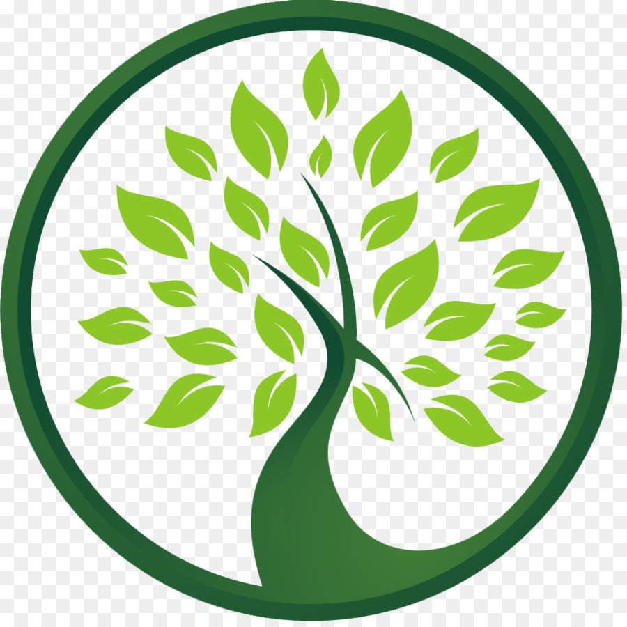 Of leaf transparent clip. Life clipart green tree