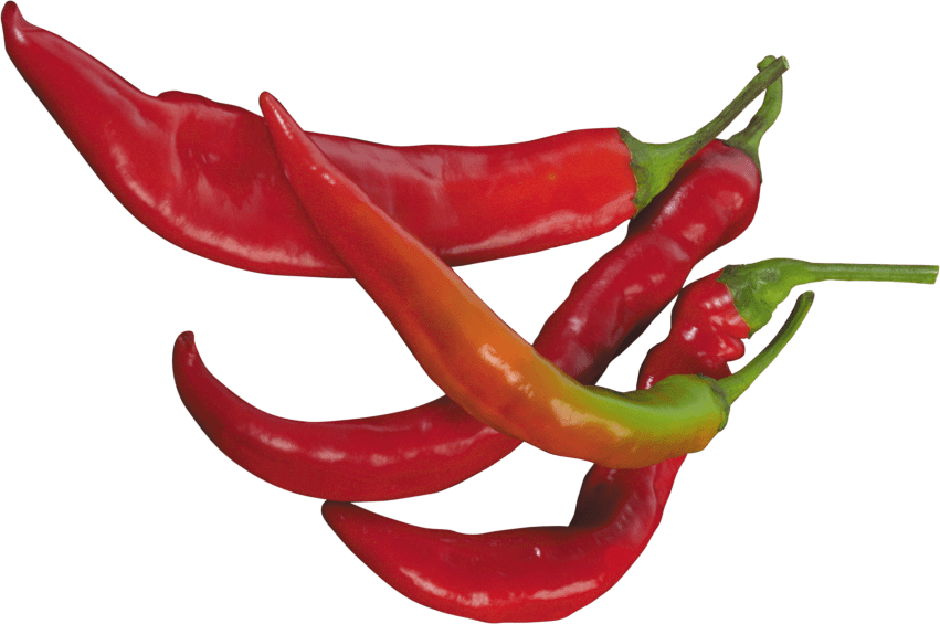Pepper clipart chili pepper. Red png free images
