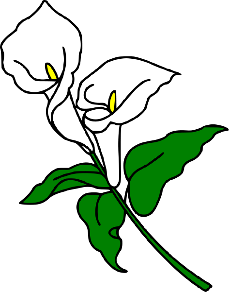 Calla cliparts co pinterest. Funeral clipart peace lily