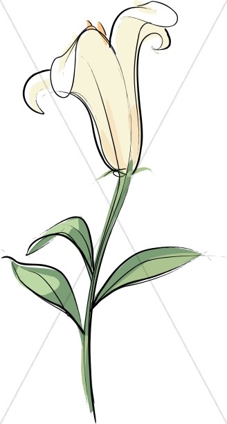 Lily clipart altar flower. For the easter church