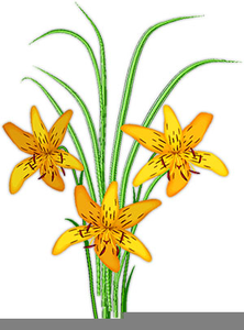 lily clipart animated