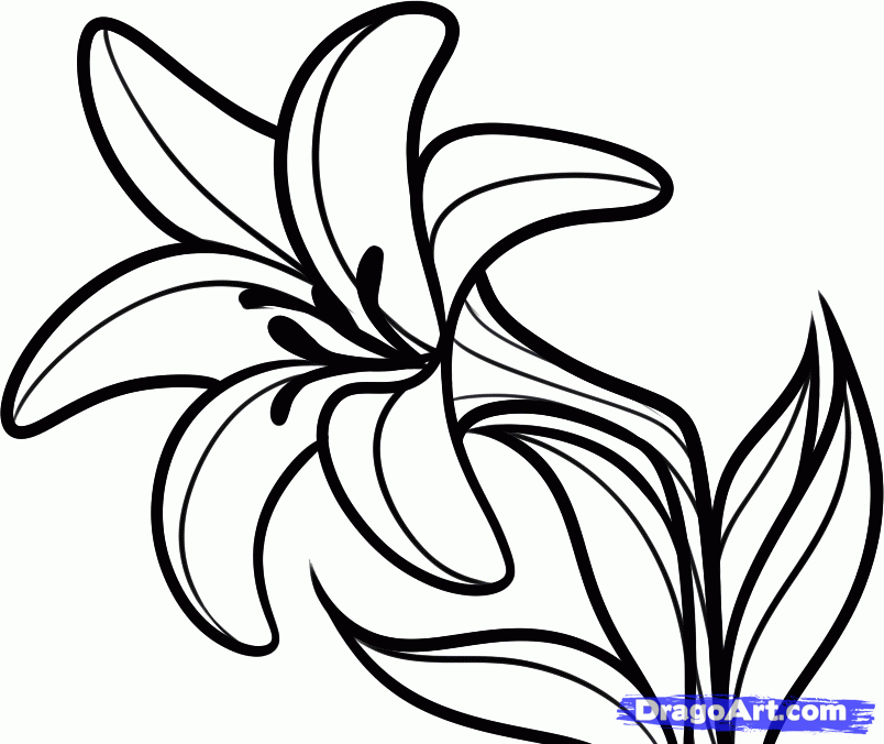 lily clipart animated