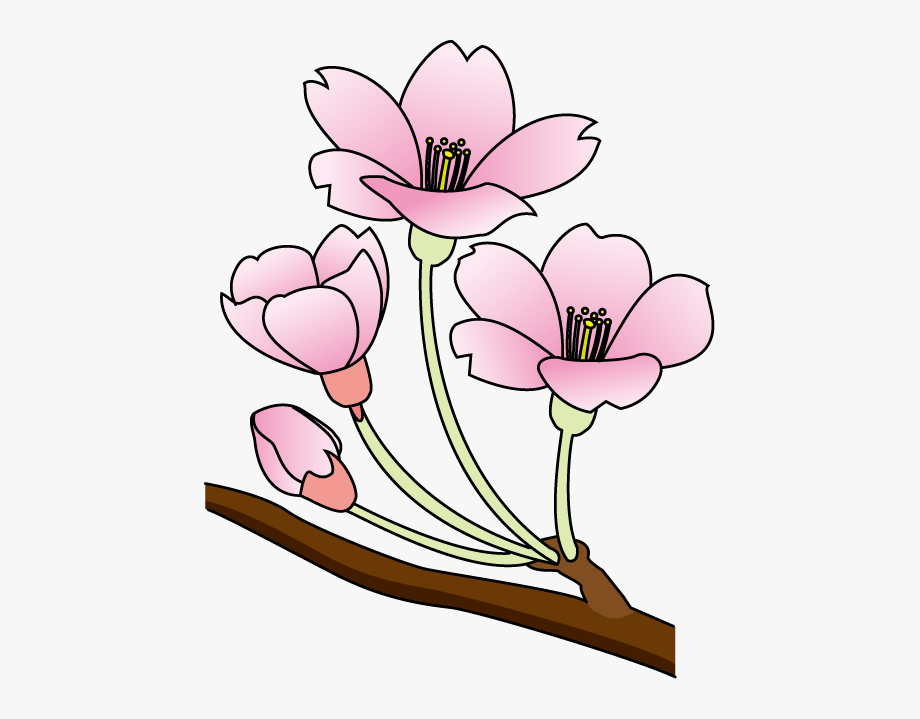 lily clipart cherry blossom