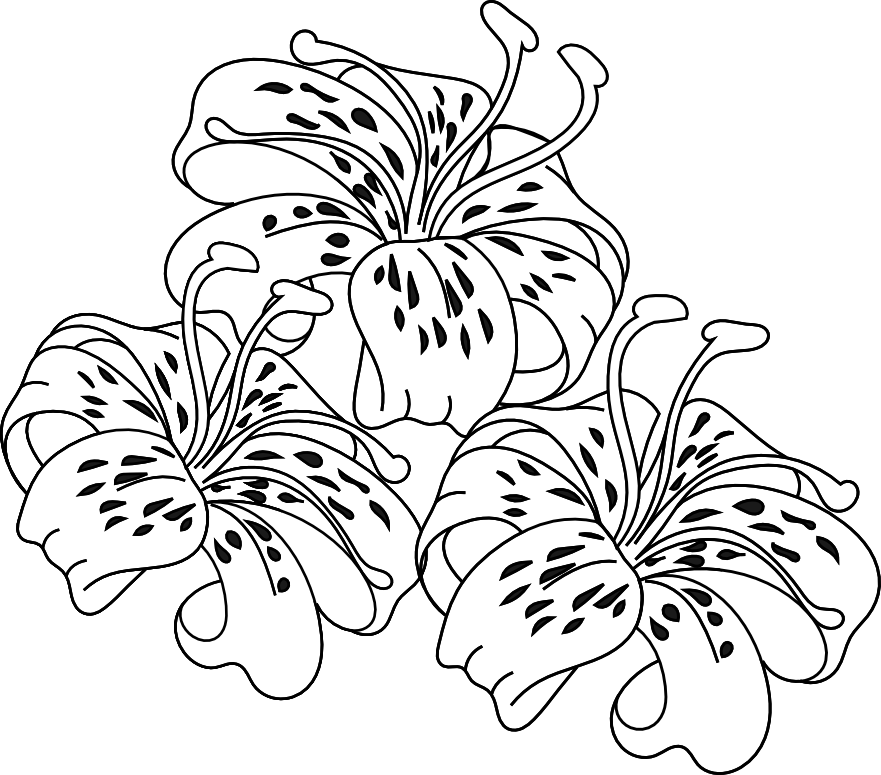 shop clipart black and white