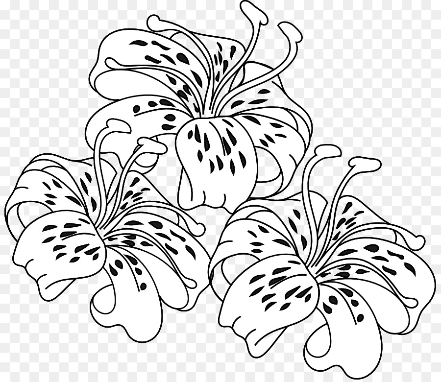 lily clipart coloring