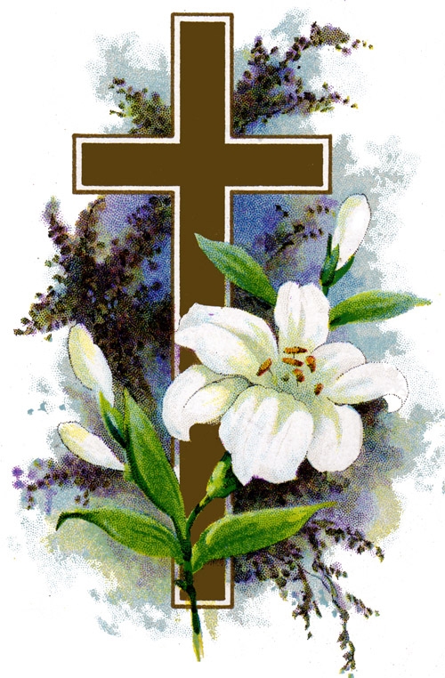 Lily clipart cross. Free cliparts download clip