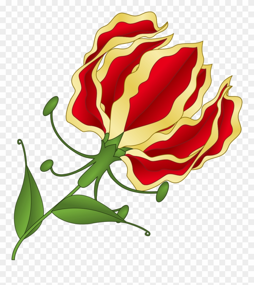 Lily clipart flame lily. File svg wikimedia commons