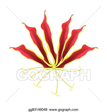 lily clipart flame lily