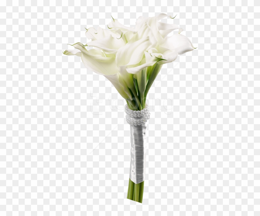 Lily clipart flower boquet. Free png download calla