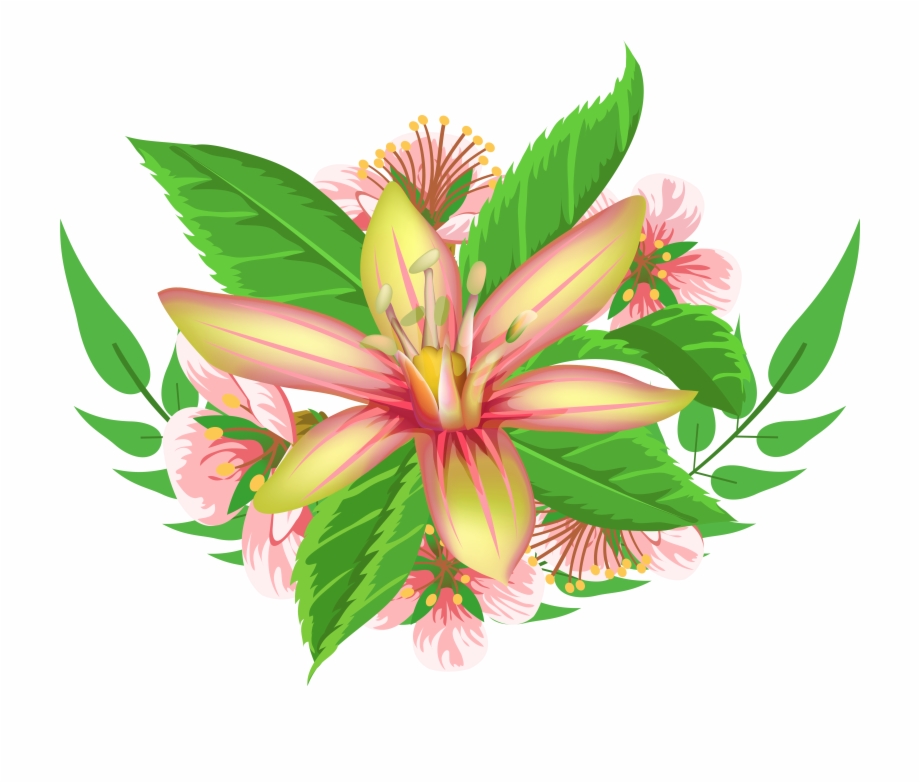 Lily clipart flower decoration. Stargazer 