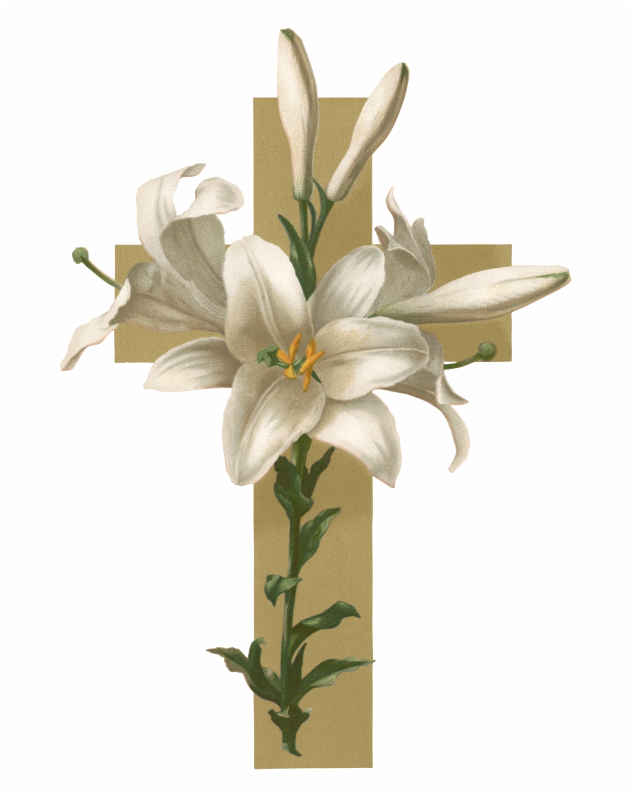 Lily clipart funeral flower. Easter christian cross clip