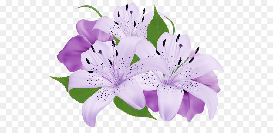 Lily clipart lilac. Free purple download clip