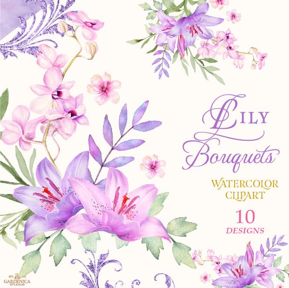 Lilies watercolor lilly pink. Lily clipart lilac