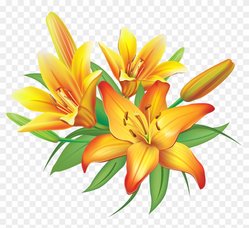 lily clipart lillies