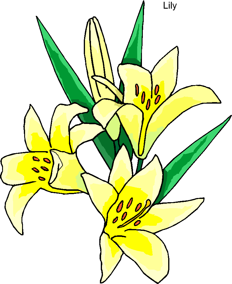 Free lilies art download. Lily clipart memoriam