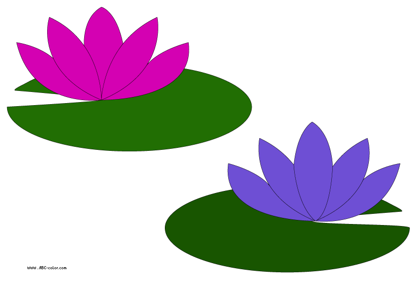 swamp clipart water lily pond
