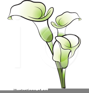 lily clipart peace lily