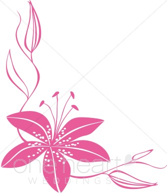 lily clipart pink vine